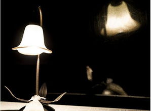 灯饰行业全渠道解析 进货与销售的双向路径